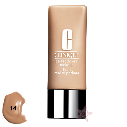 Clinique Perfectly Real Makeup 14