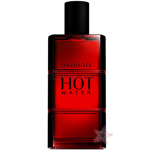 Davidoff Hot Water Man Edt 110 ml
