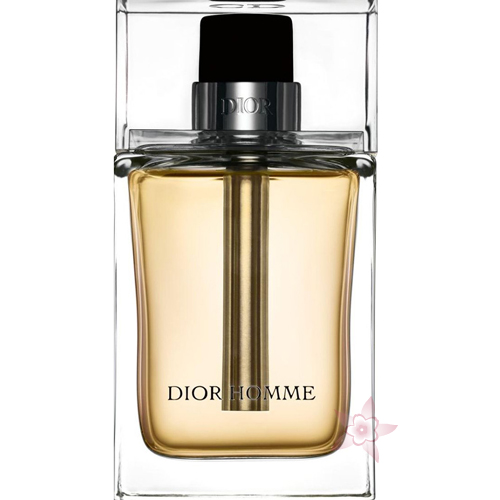 Dior Homme Edt 100ml Erkek Parfümü