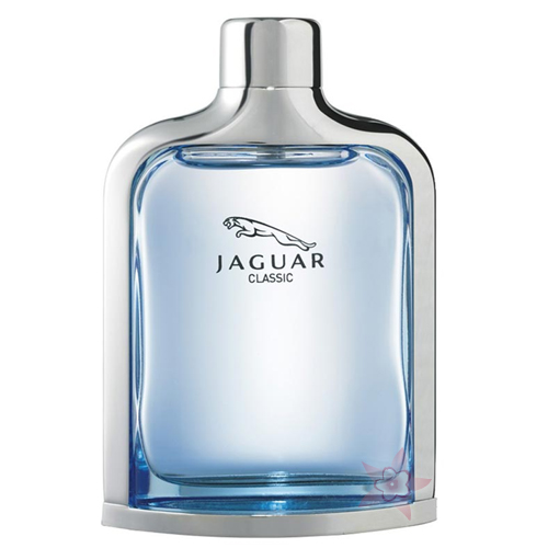 Jaguar Classic Edt 100 ml Erkek Parfümü 