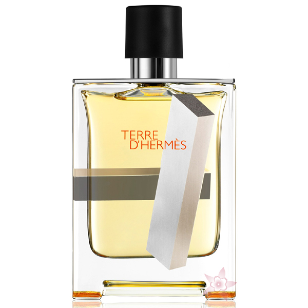 Hermes Terre D'Hermes Edt 100 ml Erkek Parfümü